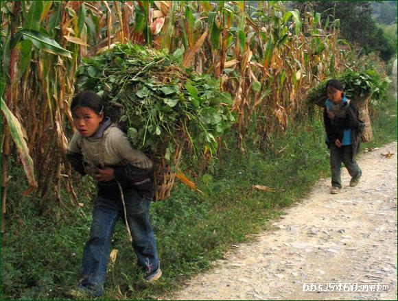 �A�����u